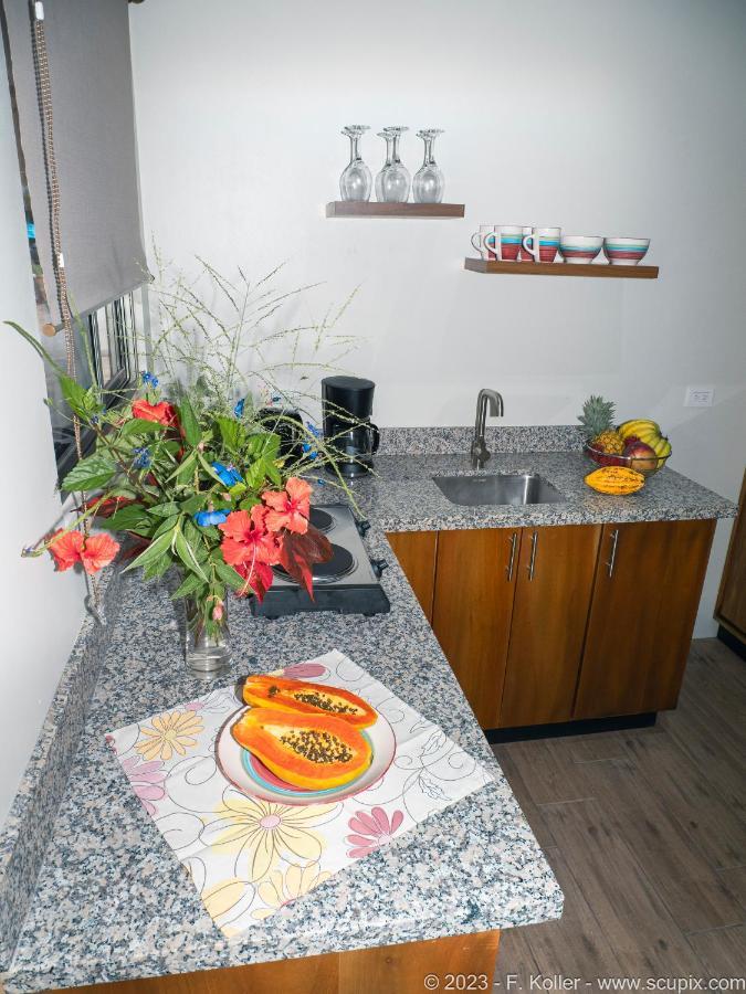 Luxury Apartments Nauyaca By Paradiselodge Platanillo Exterior foto